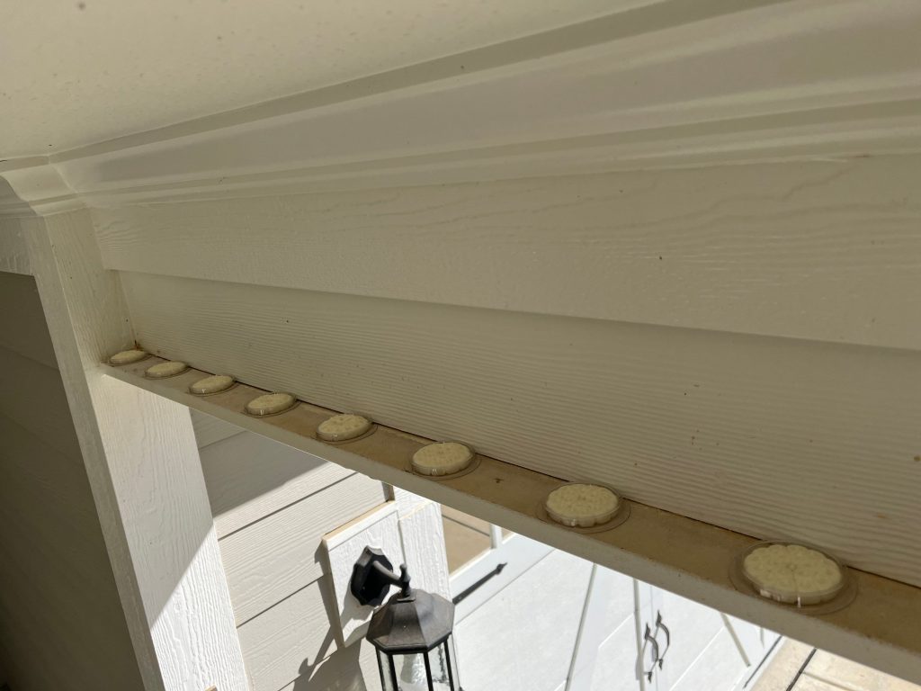 Bird Deterrent Installation