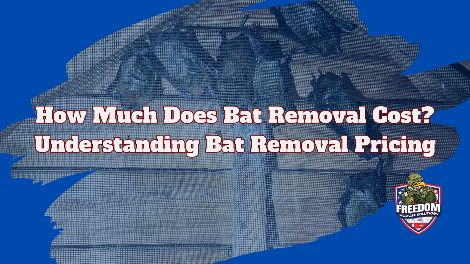 How Much Does Bat Removal Cost?