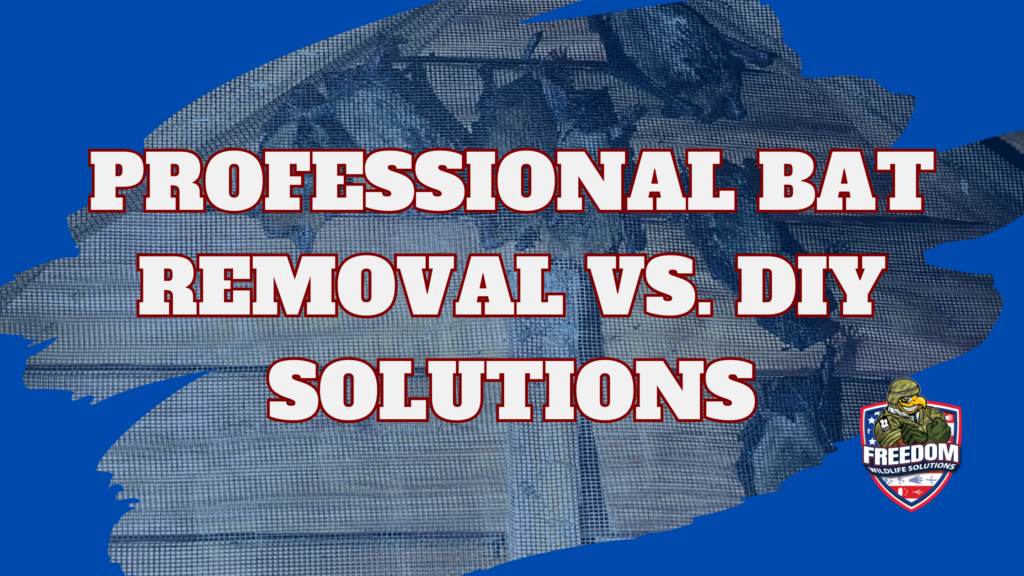 Professional Bat Removal vs. DIY Solutions