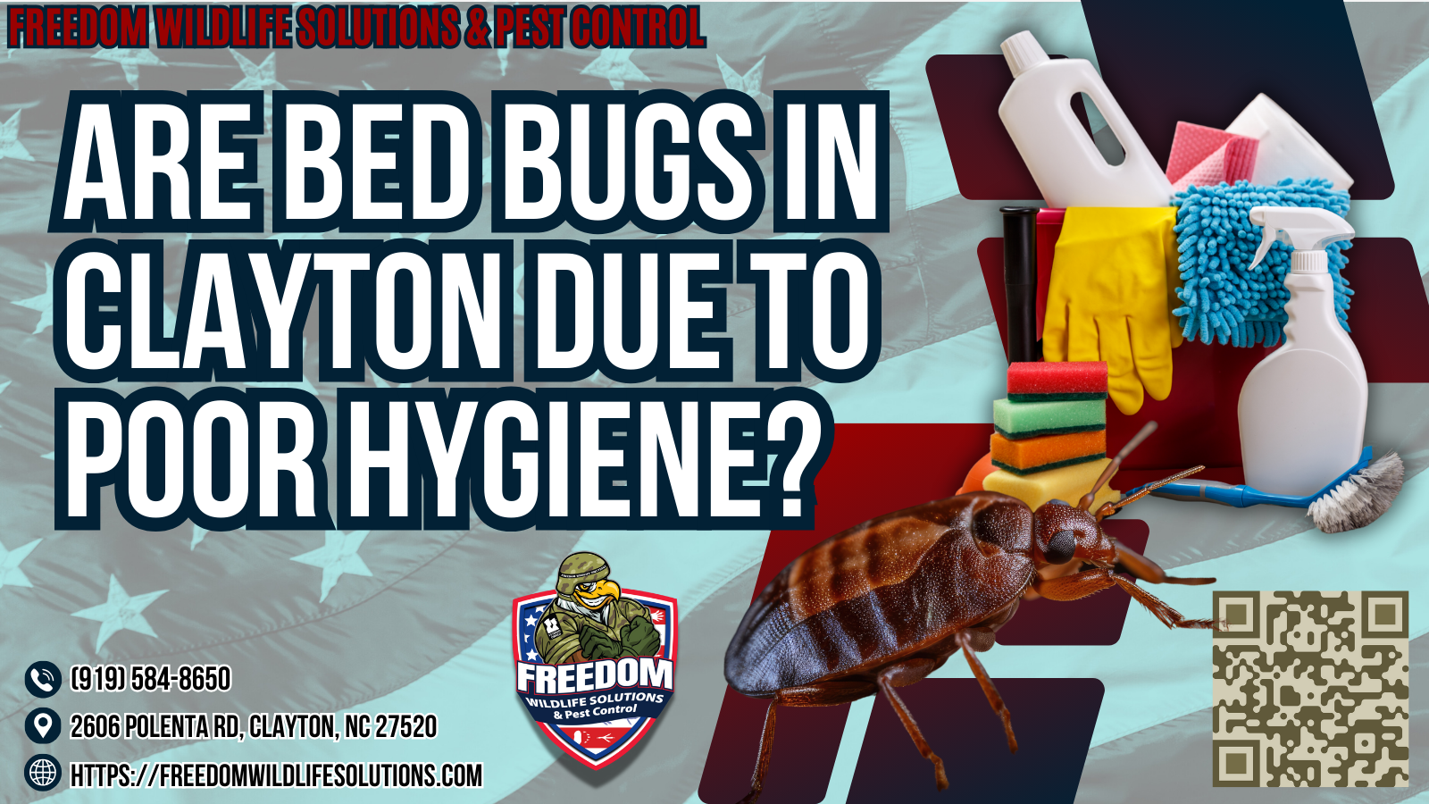 Are Bed Bugs in Clayton Due To Poor Hygiene.