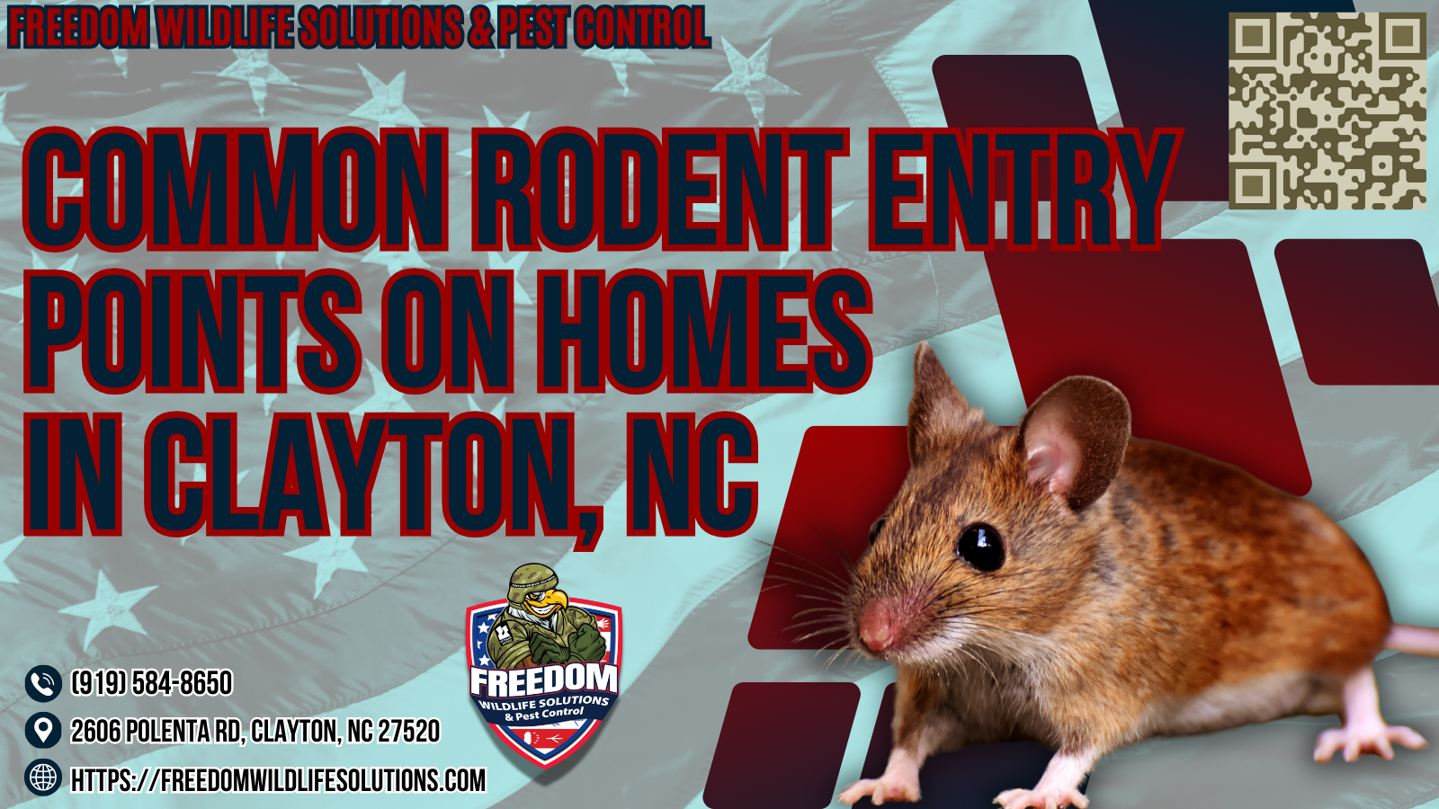 Common Rodent Entry Points On Homes In Clayton, NC.