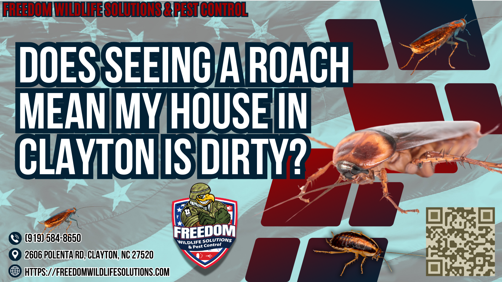 Does Seeing A Roach Mean My House in clayton Is Dirty.