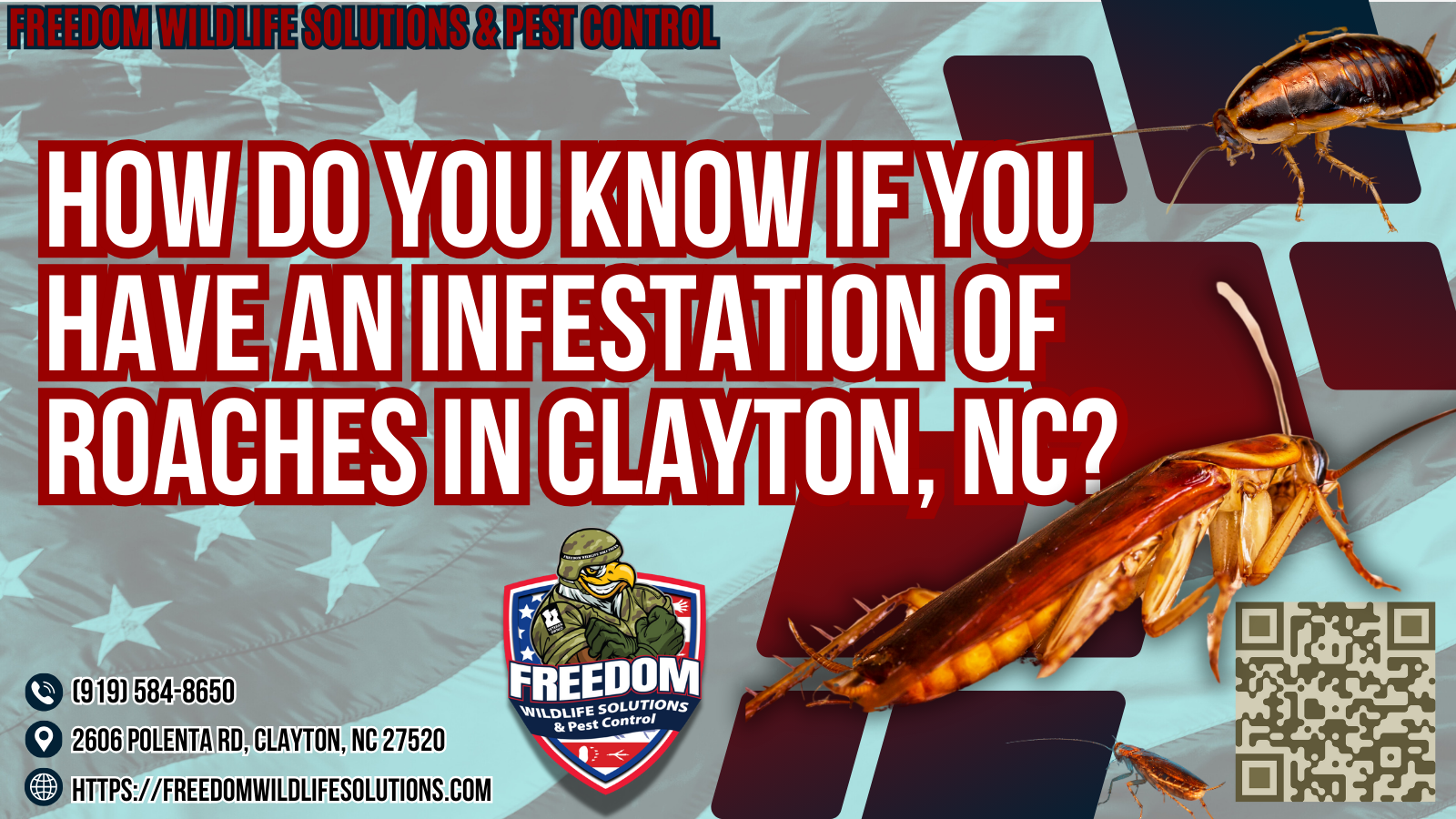 How Do You Know if You Have an Infestation of Roaches?