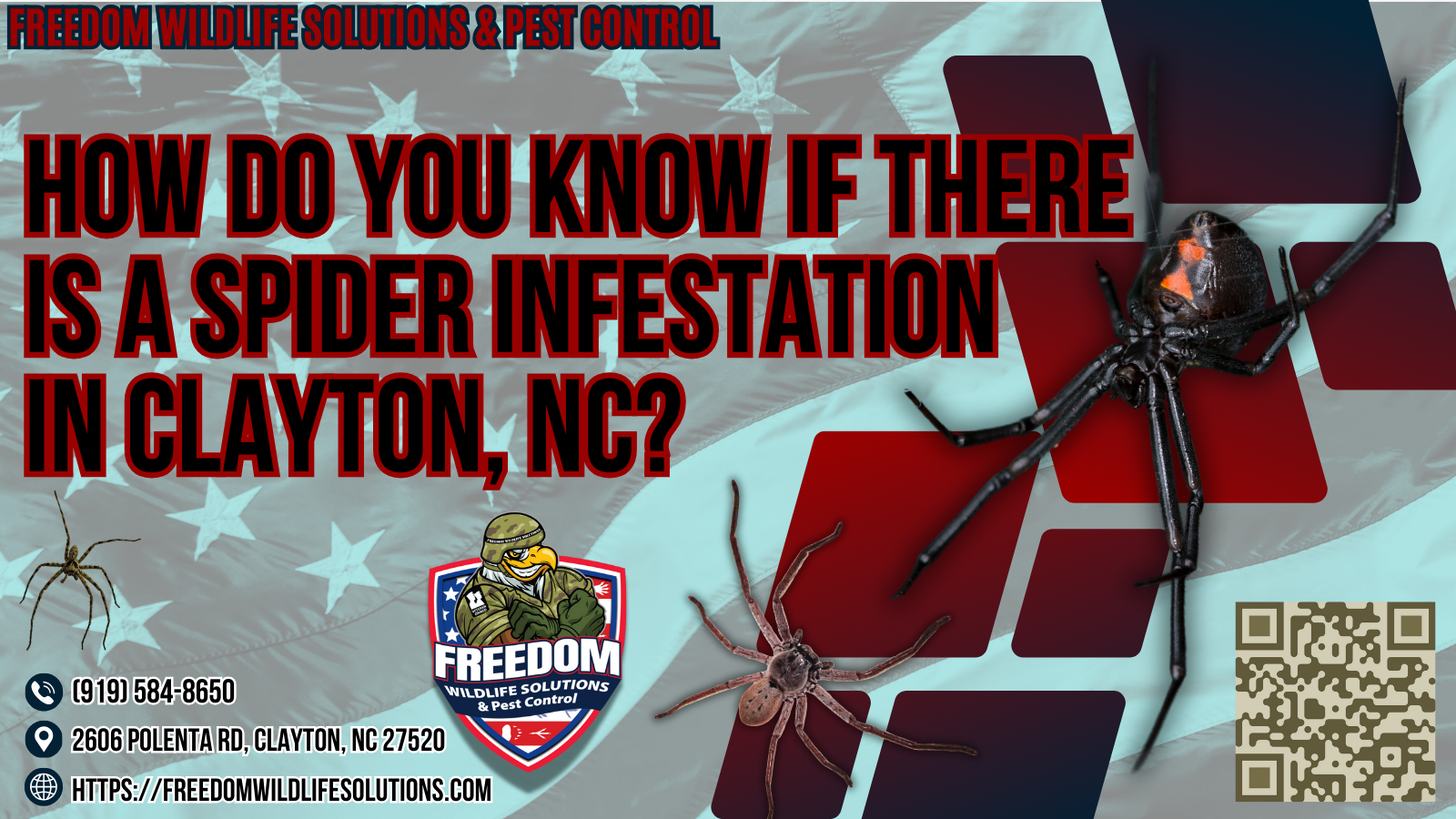 How Do You Know if There Is a Spider Infestation in Clayton, NC.