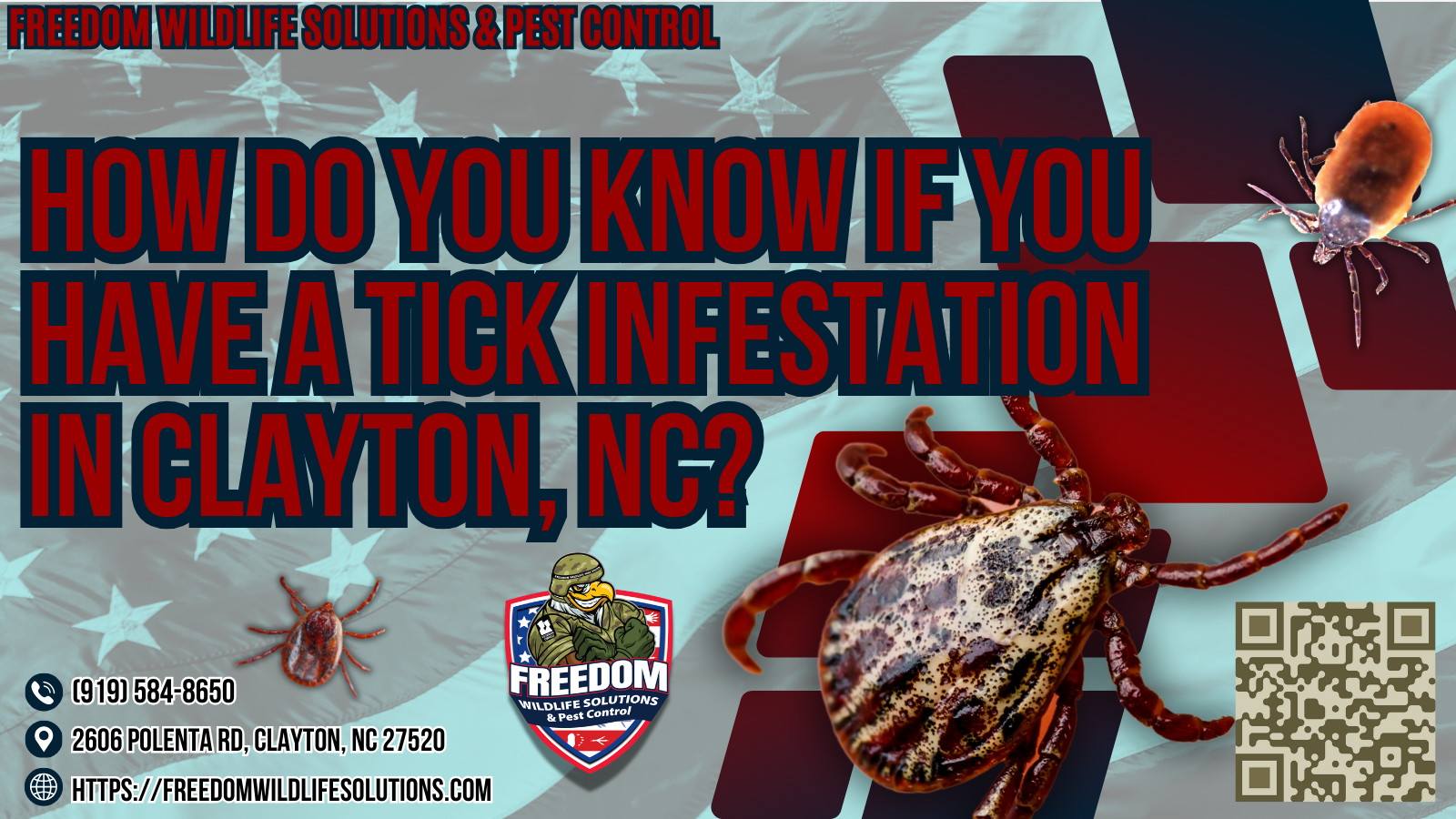 How Do You Know if You Have a Tick Infestation in Clayton, NC.