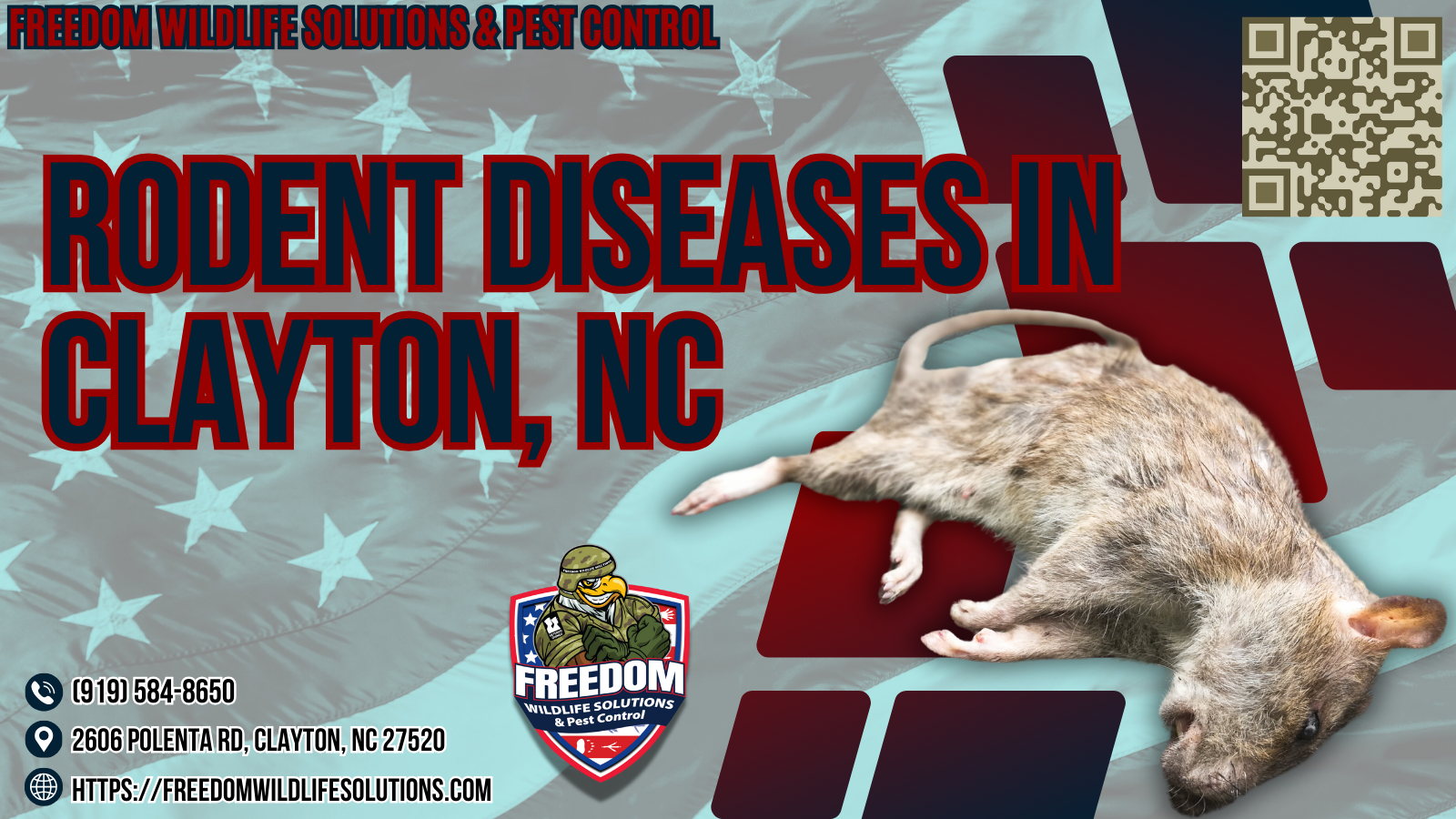 Rodent Diseases In Clayton, NC.
