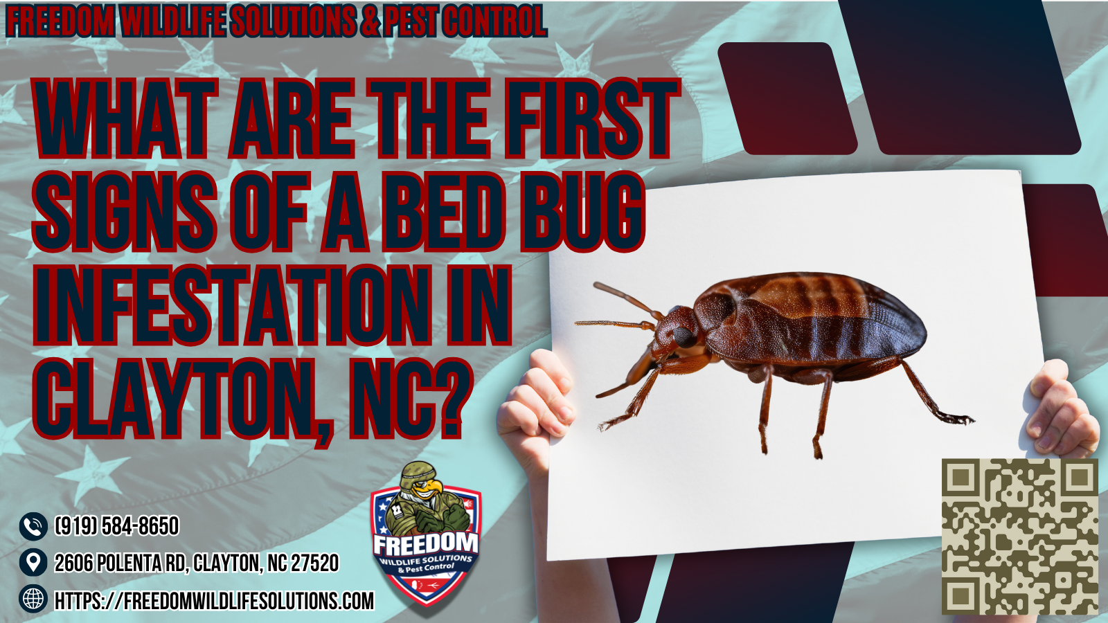What Are The First Signs Of A Bed Bug Infestation in Clayton, NC.