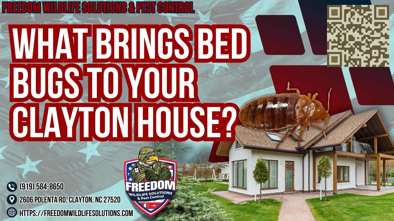 What Brings Bed Bugs To Your Clayton House.