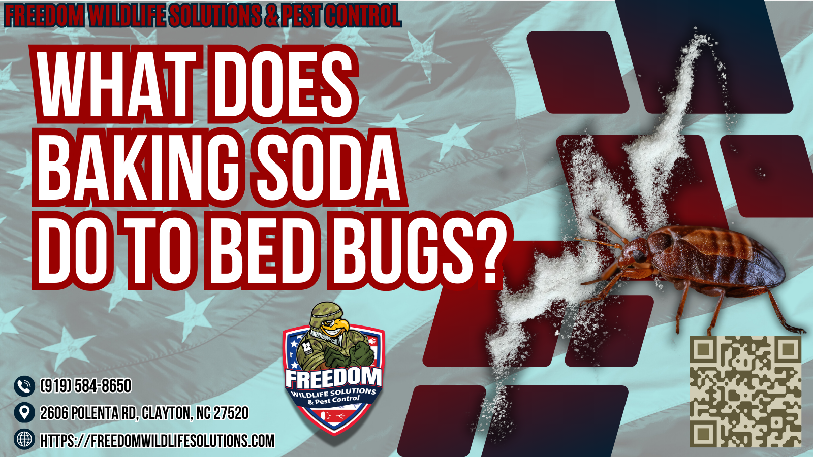 What Does Baking Soda Do to Bed Bugs?