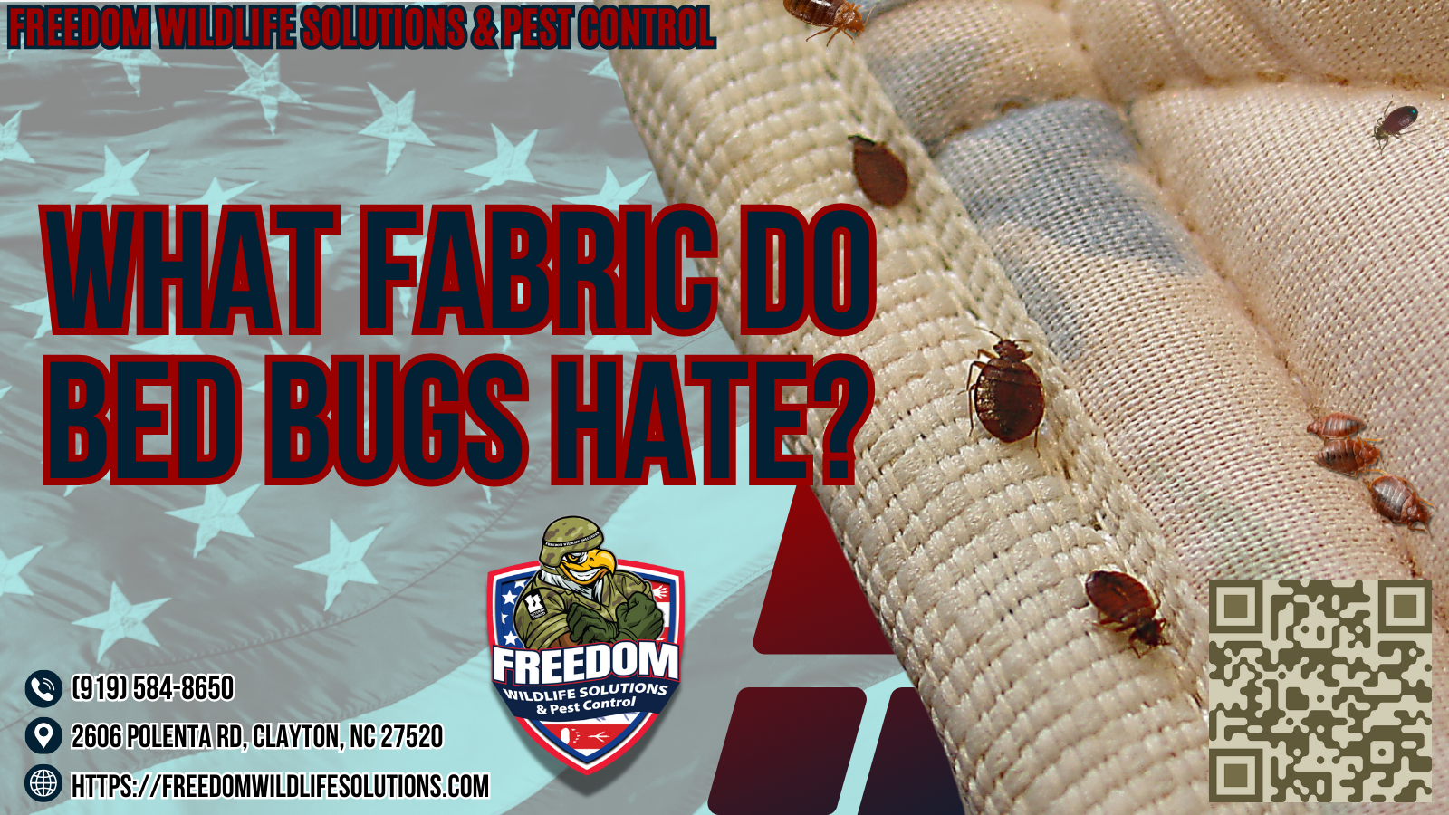 What Fabric Do Bed Bugs Hate?