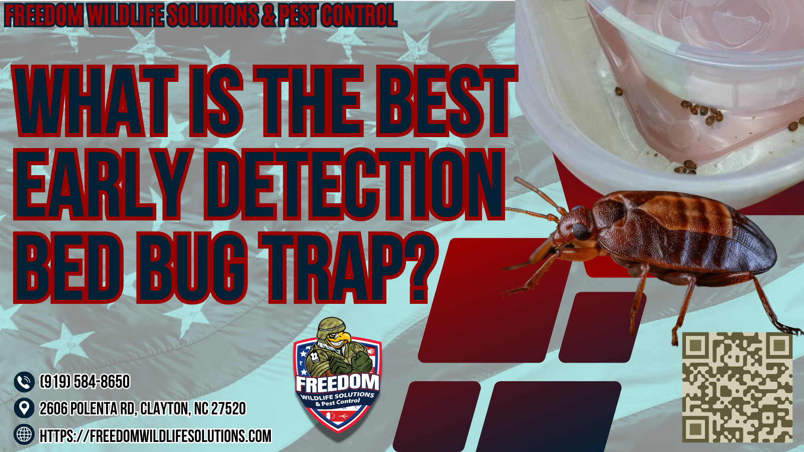 What Is The Best early detection Bed Bug Trap?