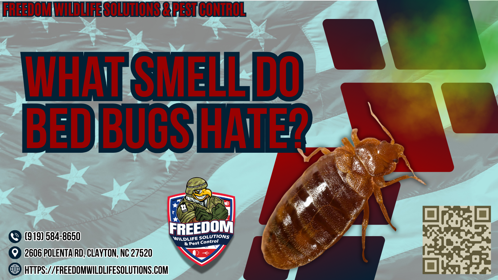 What Smell Do Bed bugs Hate?