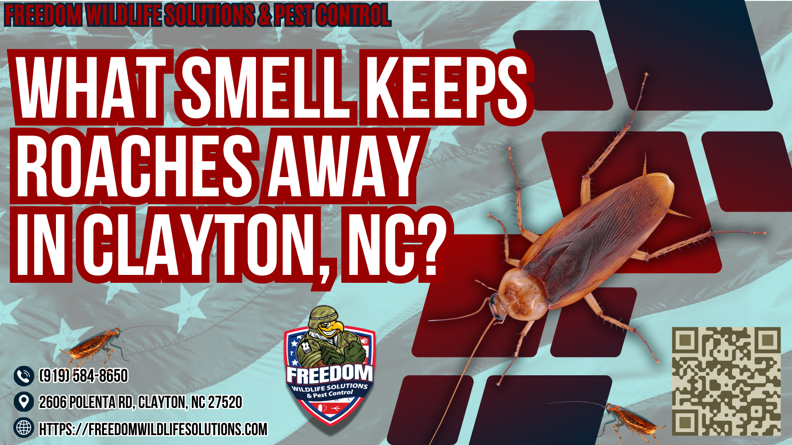What Smell Keeps Roaches Away in Clayton, NC.