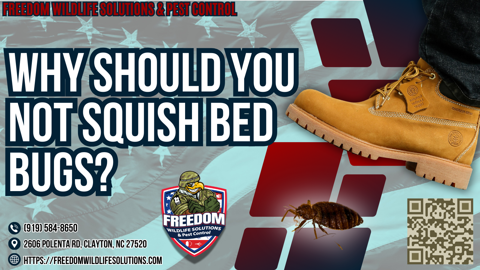 Why Should You Not Squish Bed Bugs?