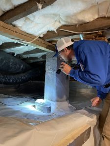 Searching in a crawlspace for a dead animal in the Raleigh-Durham area