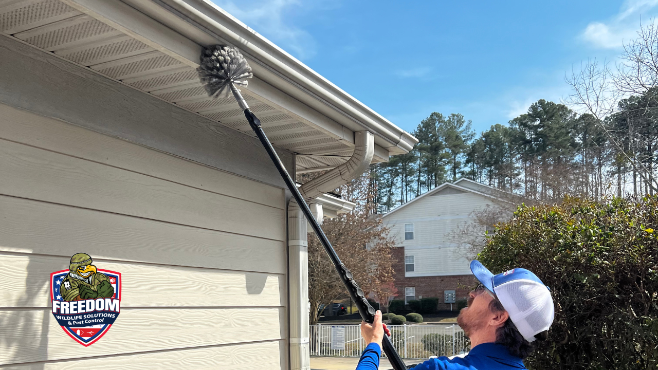 Pest Control | Freedom Wildlife Solutions & Pest Control