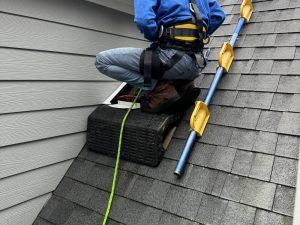 Freedom Wildlife Solutions technician sealing roofline entry point to prevent rodent access in Wake County NC